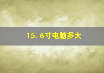 15. 6寸电脑多大